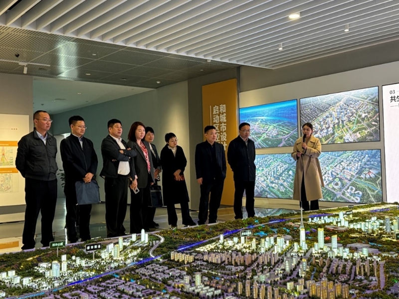 图片 4.jpg
