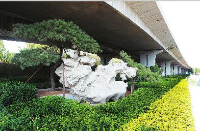 1879处违建将变城市“绿肺” 强力拆违建新绿透满城