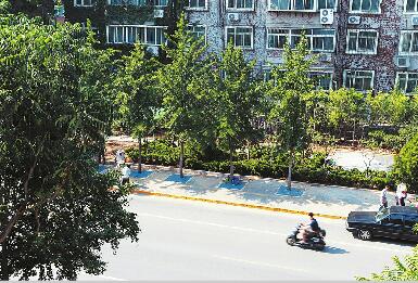 1879处违建将变城市“绿肺” 强力拆违建新绿透满城