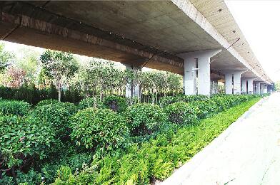 1879处违建将变城市“绿肺” 强力拆违建新绿透满城